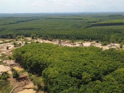 Galamsey activities affect operations of Ghana Rubber Estate Limited